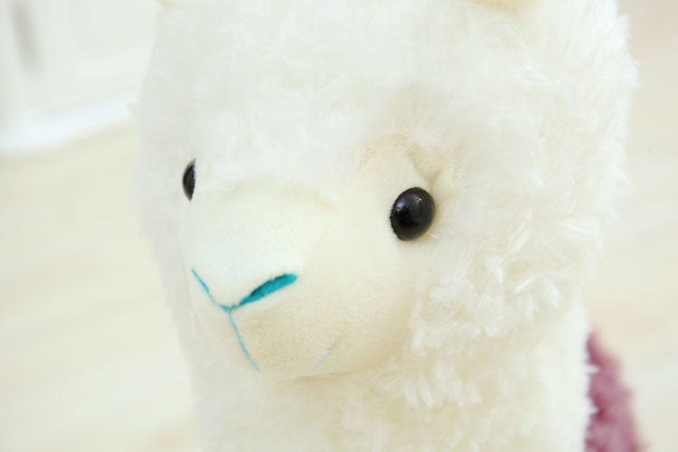 aeProduct.getSubject()