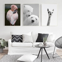 Animal Photography Portrait Alpaca Polar Bear Horse Canvas Art Painting Print Poster Picture Wall Living Room Home Decoration